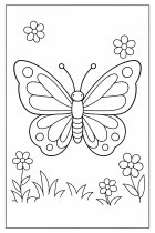 sommerfugl med blomster