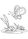 sommerfugl over vannliljer