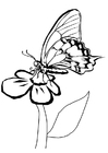 sommerfugl på en blomst