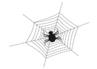 Bilde å fargelegge spindelvev med edderkopp