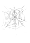 Bilde å fargelegge spindelvev