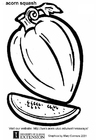 squash