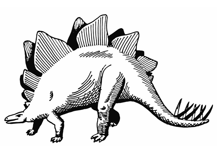 Bilde å fargelegge stegosaurus