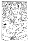 Fargeleggingsbilde svane