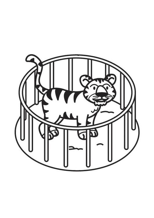 Bilde å fargelegge tiger i bur