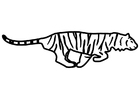tiger i fart