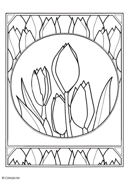 Bilde å fargelegge tulipaner