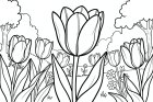 tulipaner