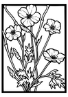 villroser