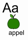 bilde a