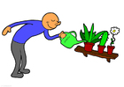 bilde å vanne plantene
