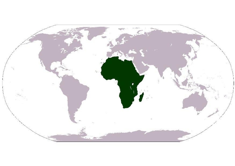 bilde Afrika