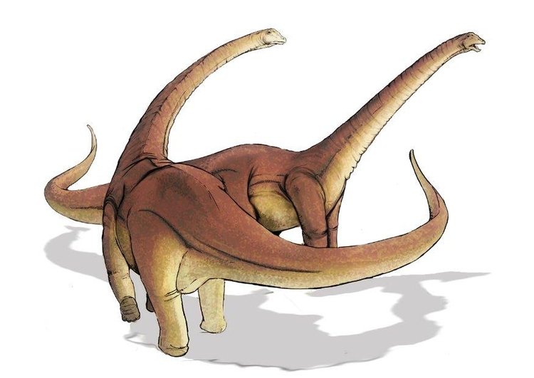 bilde Alamosaurus