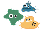 bilde bakterie
