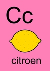 bilde c