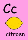 bilde c