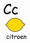 bilde c