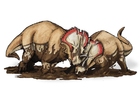 bilde Centrosaurus