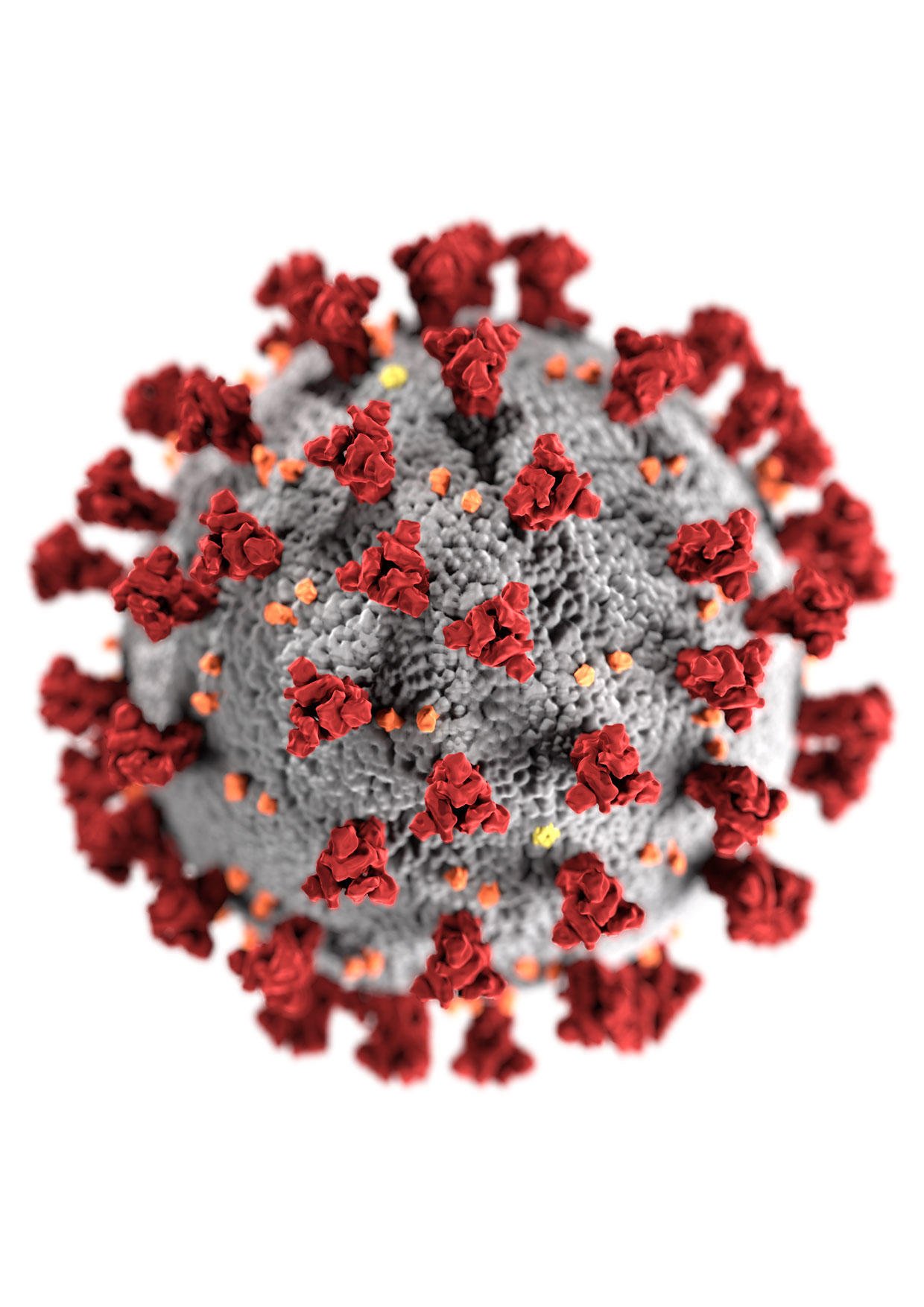 bilde coronavirus