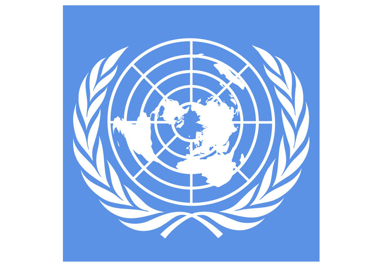bilde De forente nasjoners flagg
