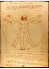 den vitruvianske mannen av Leonardo da Vinci