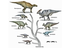 dinosaurenes utvikling