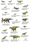 bilde dinosaurer (Basal Ceratopsia)