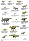 bilde dinosaurer (basal ceratopsia)