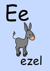 bilde e