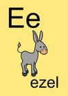 bilde e