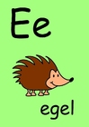 bilde e