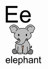 bilde e
