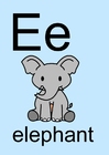 bilde e