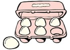 bilde egg