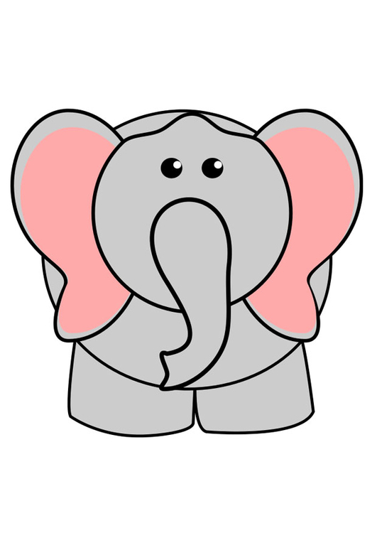bilde elefant