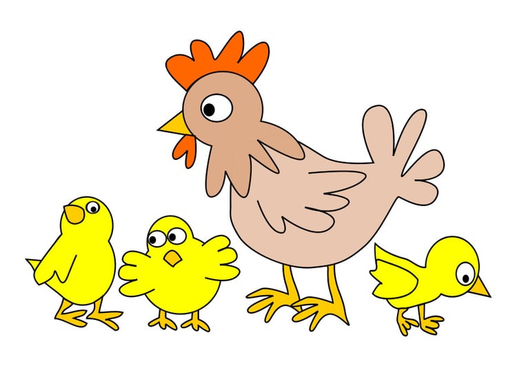 bilde hÃ¸ne med kyllinger