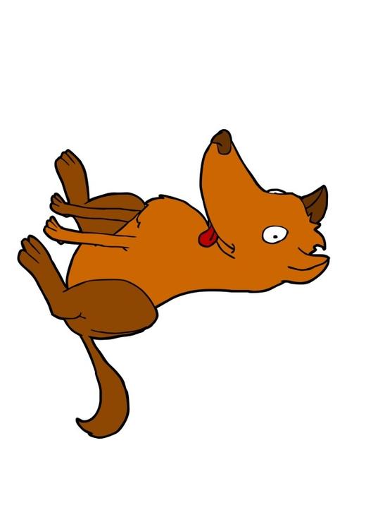 hund