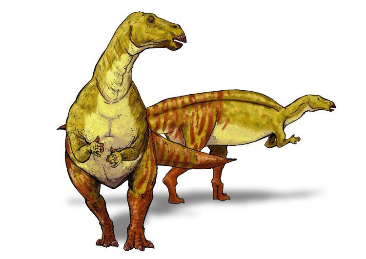 bilde Iguanodont dinosaur
