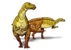 Iguanodont dinosaur