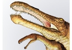 Irritator dinosaur