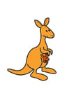 bilder kenguru