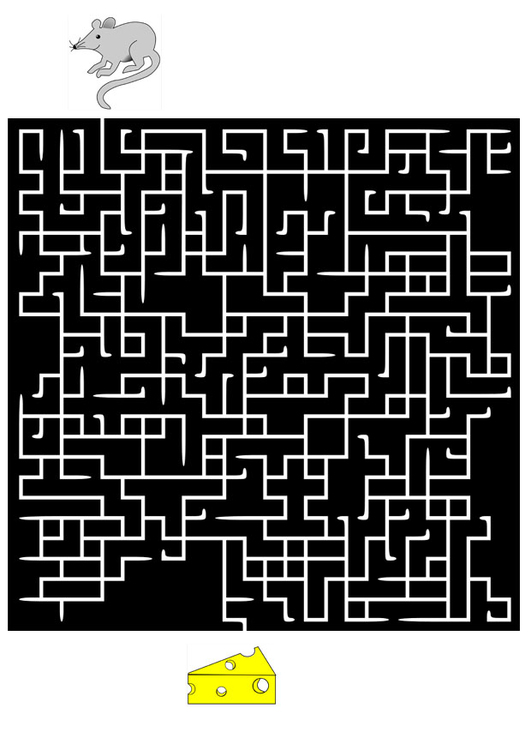 bilde labyrint