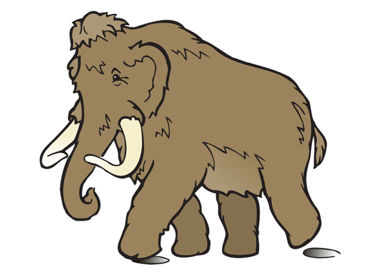 bilde mammut
