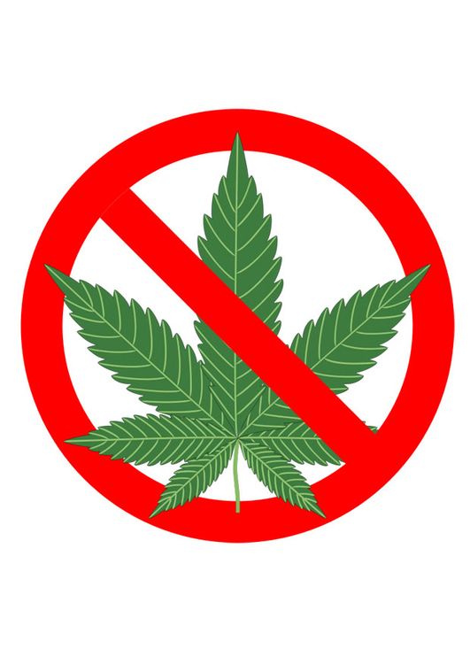 bilde marihuana forbudt