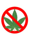 marihuana forbudt