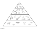 Fargeleggingsbilde matpyramide