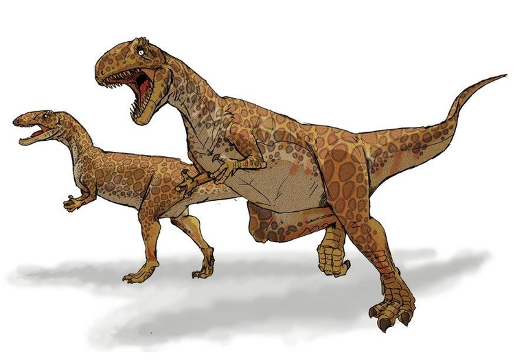bilde  Megalosaurus