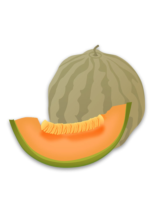 bilde melon