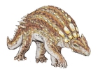 Minmi Paravertebra dinosaur