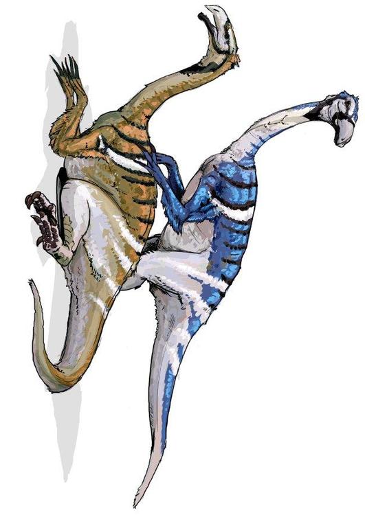 Nanshuingosaurus dinosaur